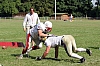 EDFLille2005_0045.jpg